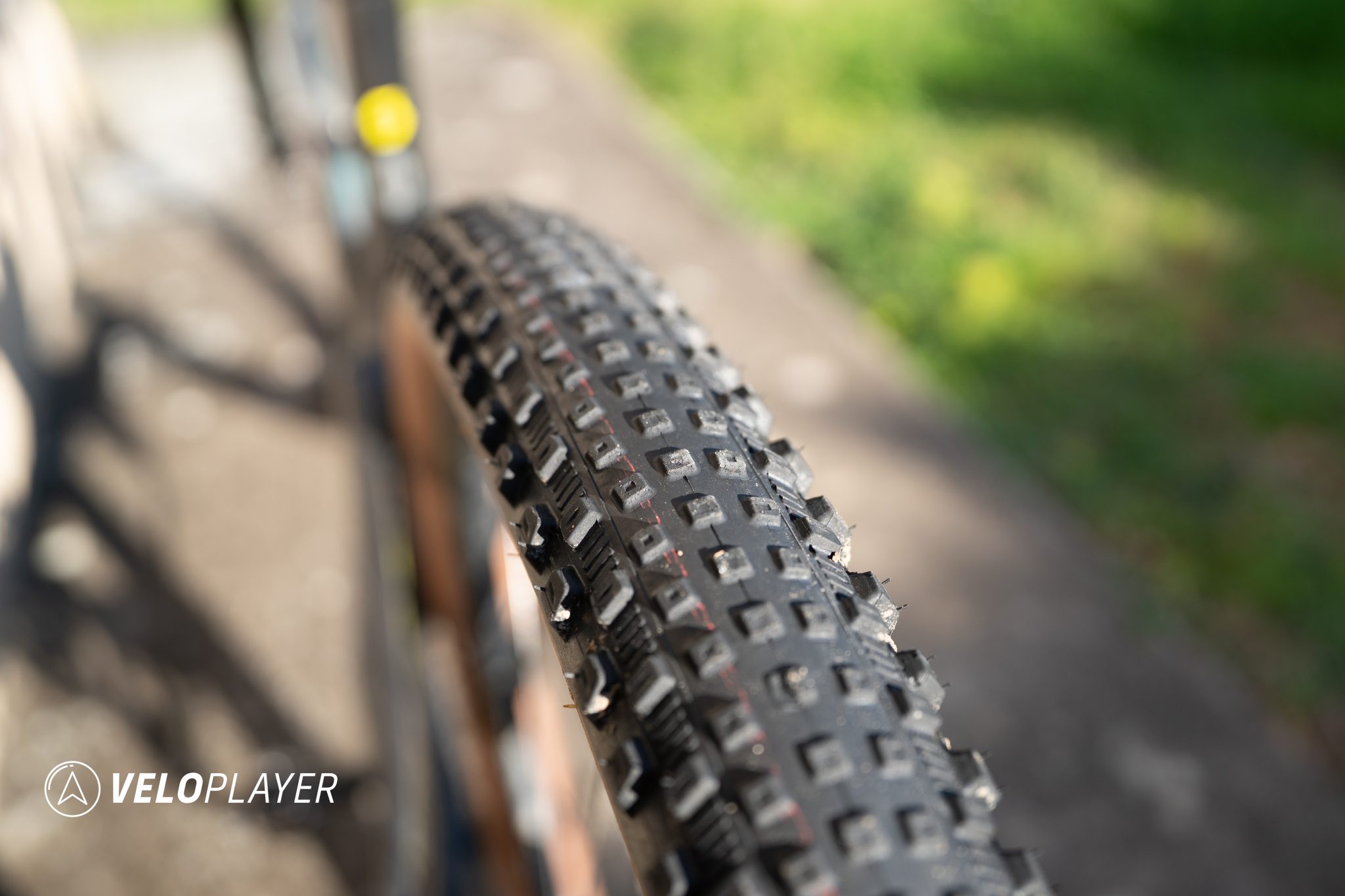 test-SCHWALBE-RICK-XC-PRO-14 test schwalbe rick xc pro 14